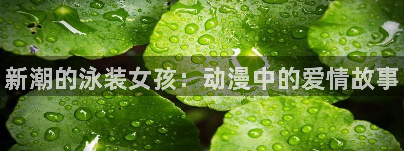 动漫天堂下载正版