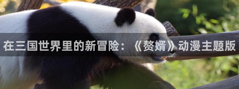 成人动漫天堂