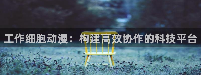 动漫天堂网