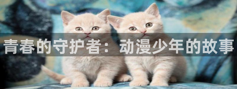 动漫天堂18