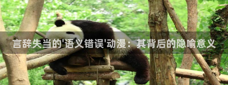 动漫天堂官网